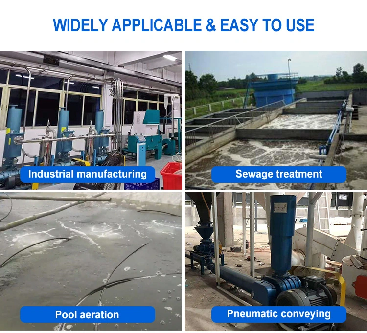 Aquaculture Pneumatic Conveying Pressurization Roots Energy-Saving Blower